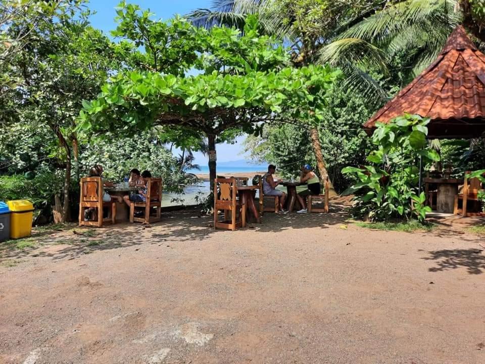 Casa El Tortugo Bed & Breakfast Drake Bay Bagian luar foto