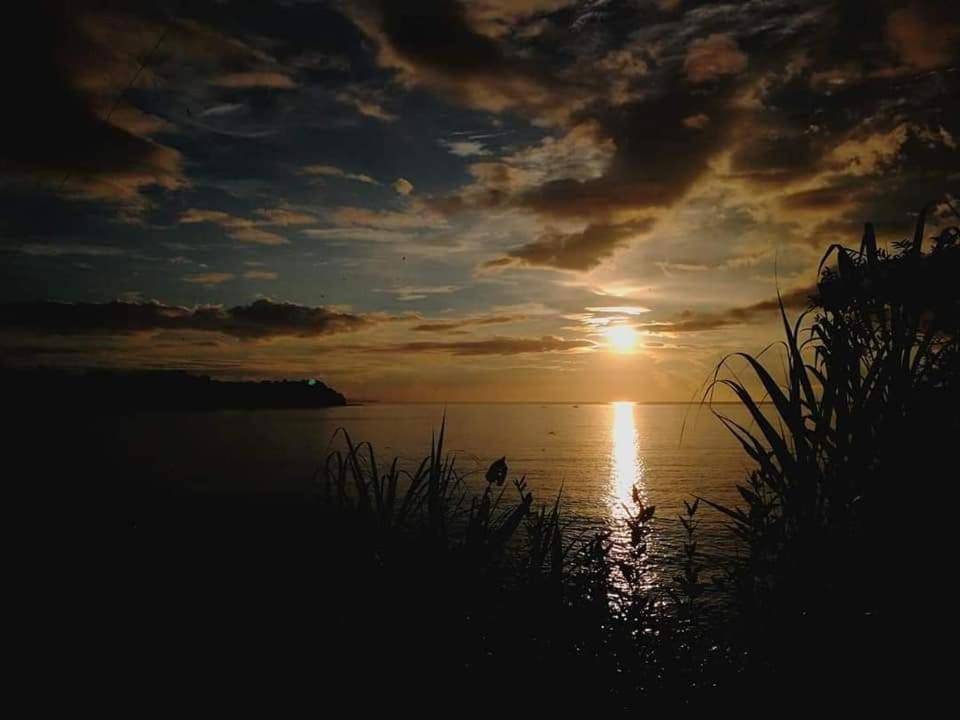 Casa El Tortugo Bed & Breakfast Drake Bay Bagian luar foto
