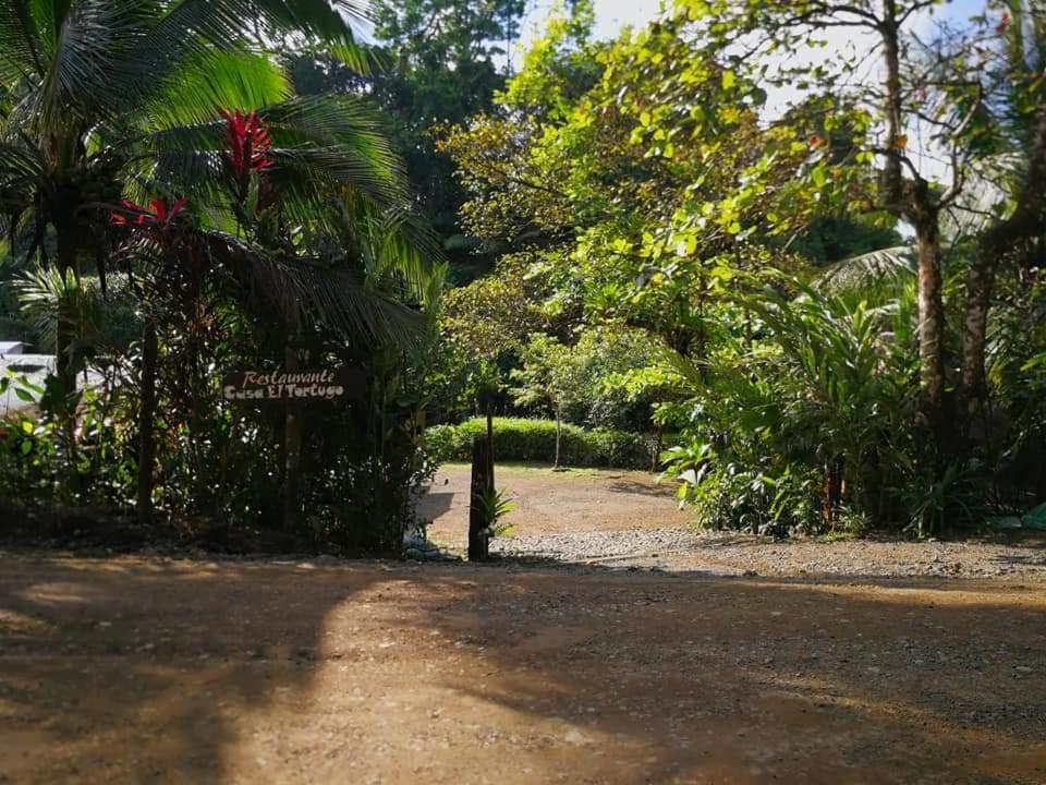 Casa El Tortugo Bed & Breakfast Drake Bay Bagian luar foto